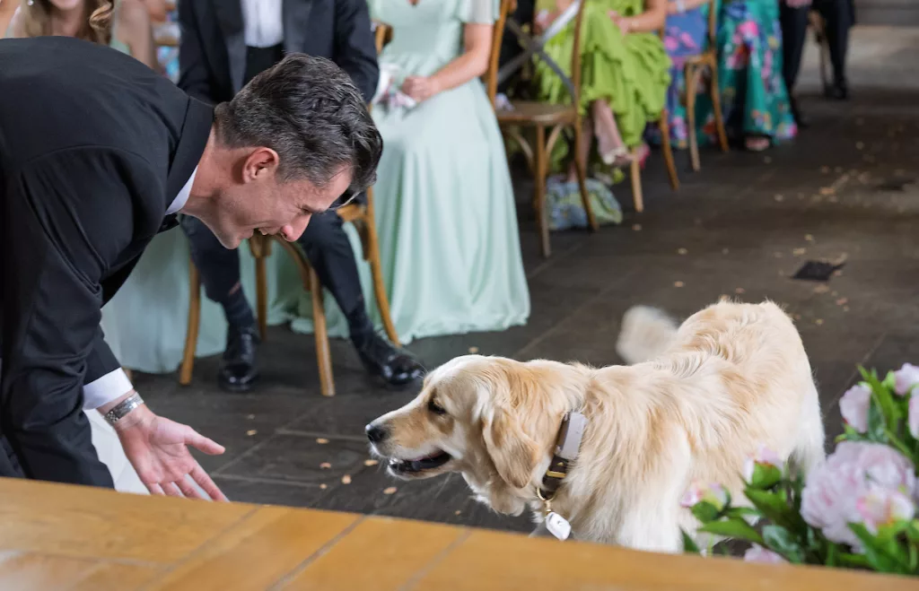 Dog ringbearer Retreat East Celebrant